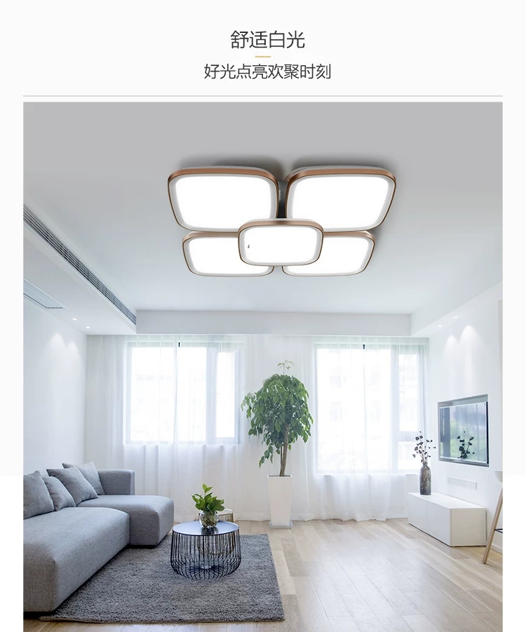 房间灯/书房灯/吸顶灯细节图