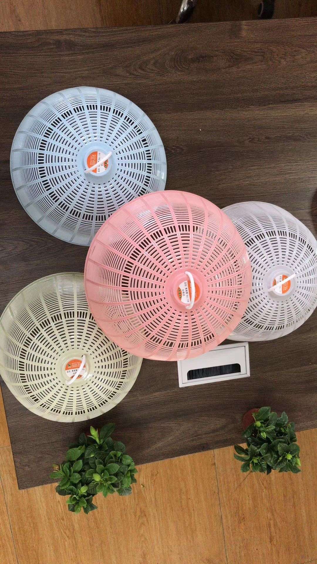 食物罩实物图