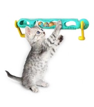 轨道猫玩玩具