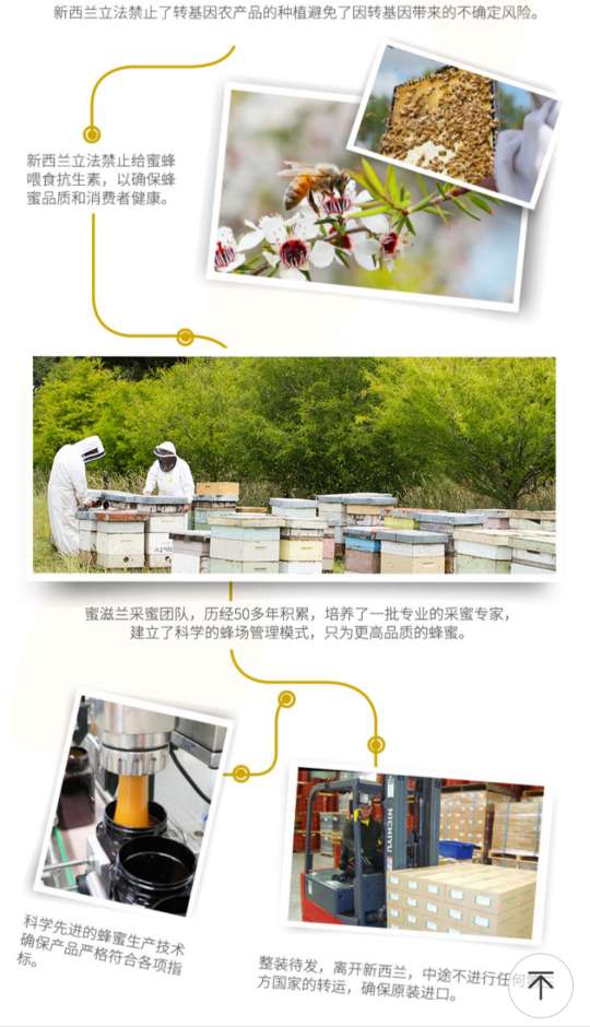 新西兰蜜滋兰麦卢卡蜂蜜10+UMF（250g）白底实物图