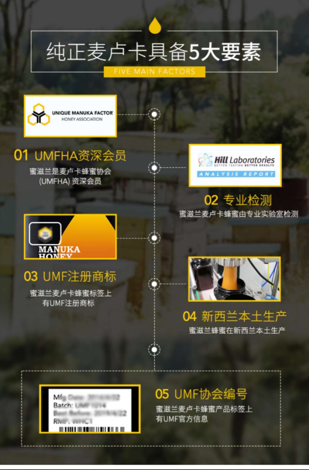 新西兰蜜滋兰麦卢卡蜂蜜10+UMF（250g）详情图8