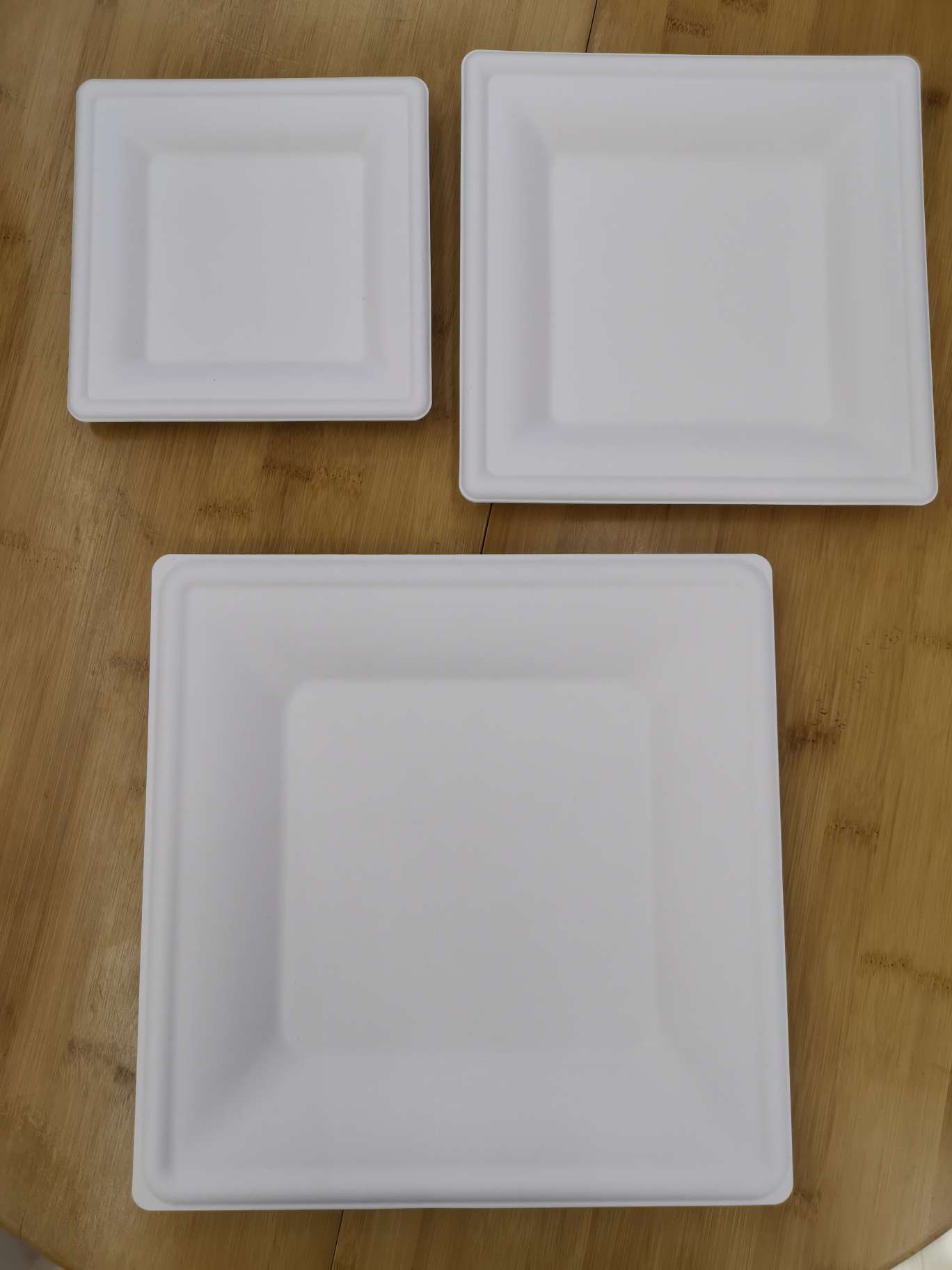 一次性方形甘蔗纸浆餐盘产品图