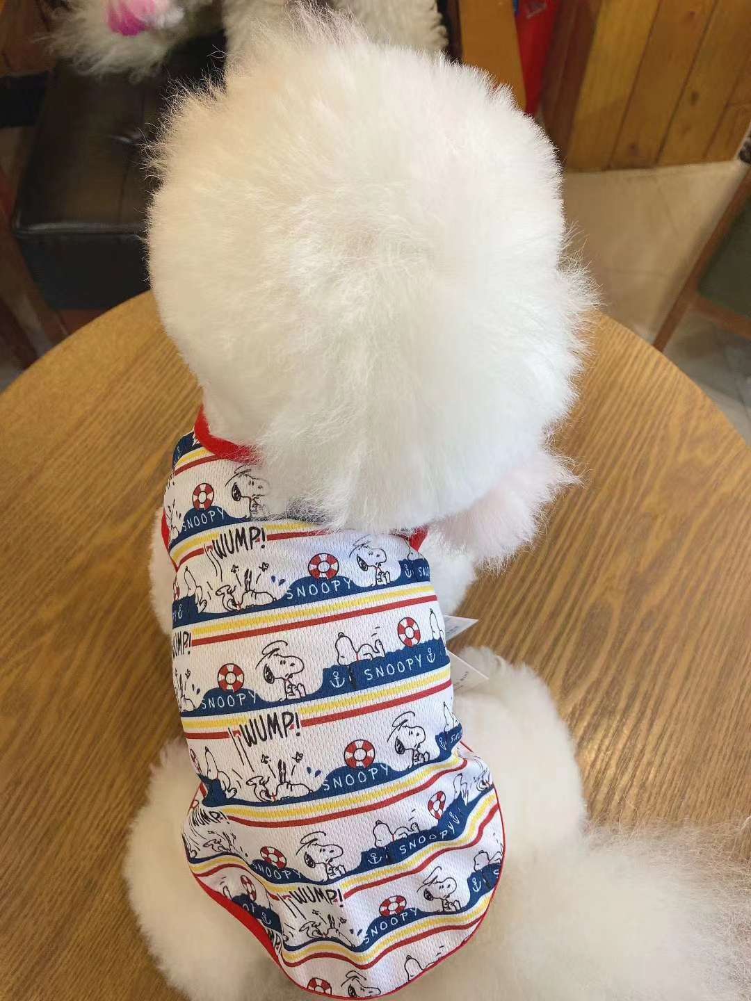 背心款式，🐱🐶都可以穿，夏天必备！穿上凉快！美观大方！轻松愉快！有大小型号，适合不同大小的宠物宝宝们穿戴！详情图7