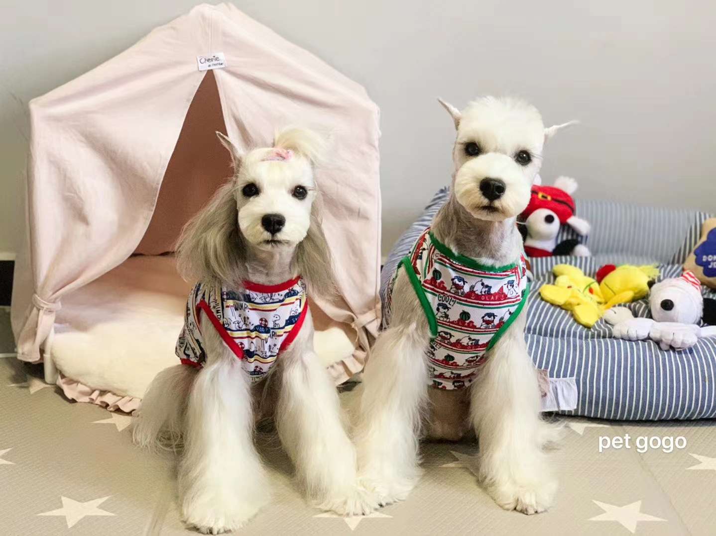 背心款式，🐱🐶都可以穿，夏天必备！穿上凉快！美观大方！轻松愉快！有大小型号，适合不同大小的宠物宝宝们穿戴！