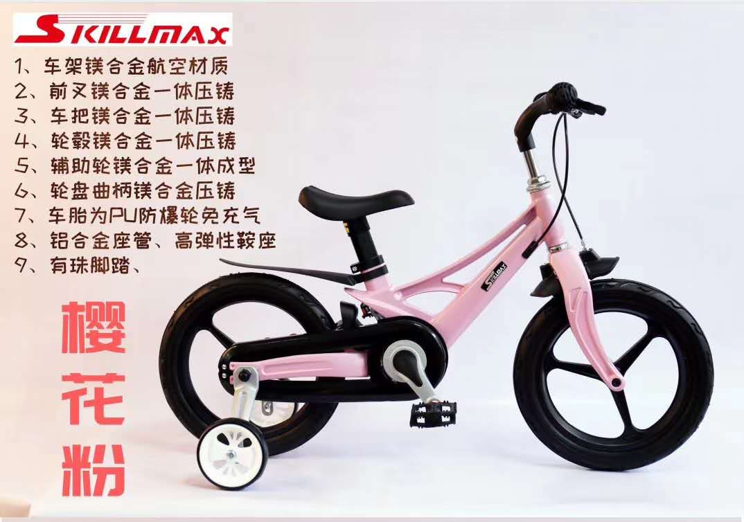 Sk-1