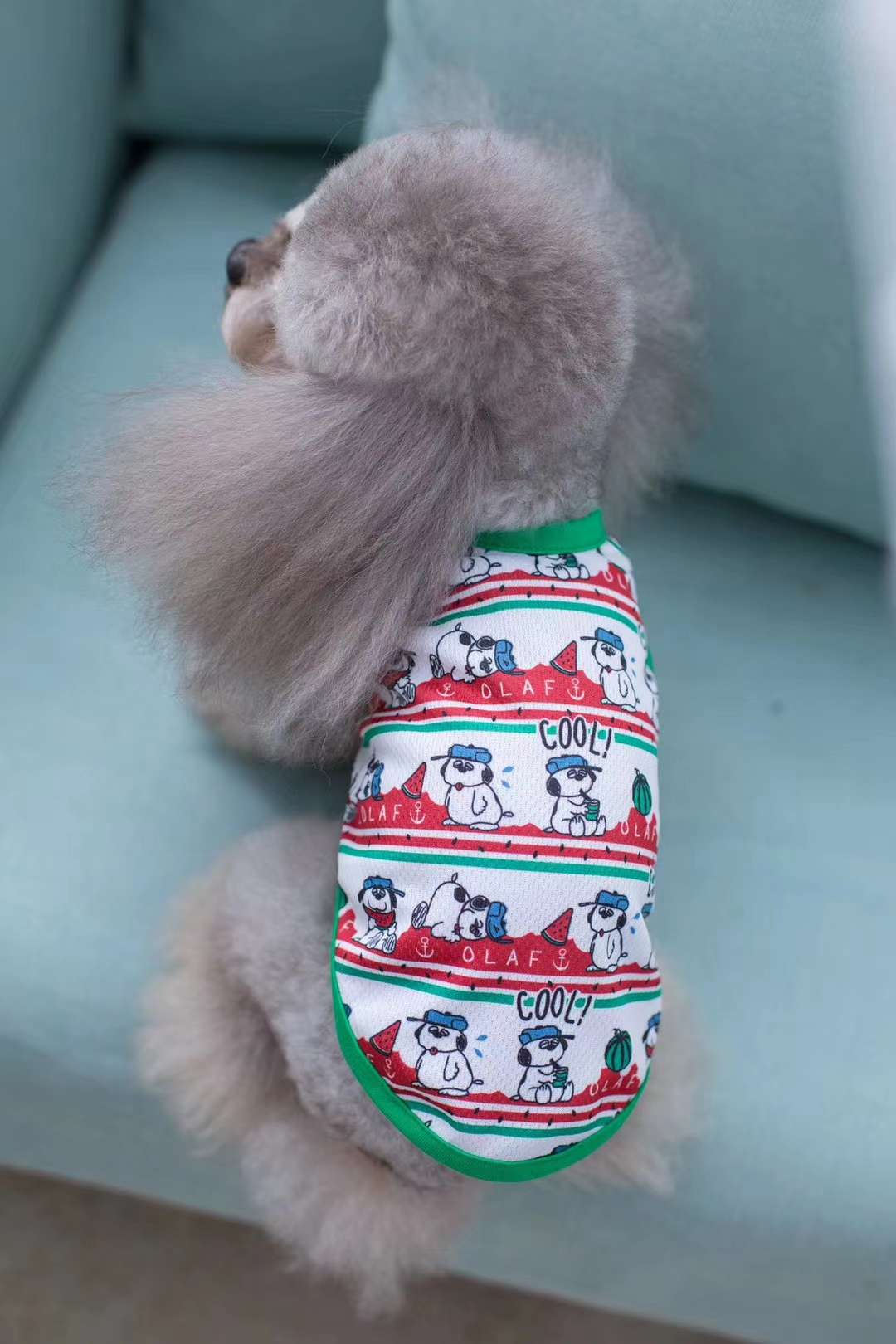 背心款式，🐱🐶都可以穿，夏天必备！穿上凉快！美观大方！轻松愉快！有大小型号，适合不同大小的宠物宝宝们穿戴！详情图8