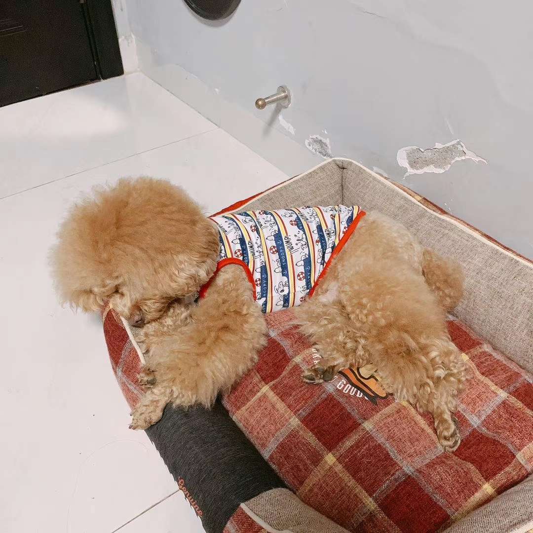 背心款式，🐱🐶都可以穿，夏天必备！穿上凉快！美观大方！轻松愉快！有大小型号，适合不同大小的宠物宝宝们穿戴！详情图9