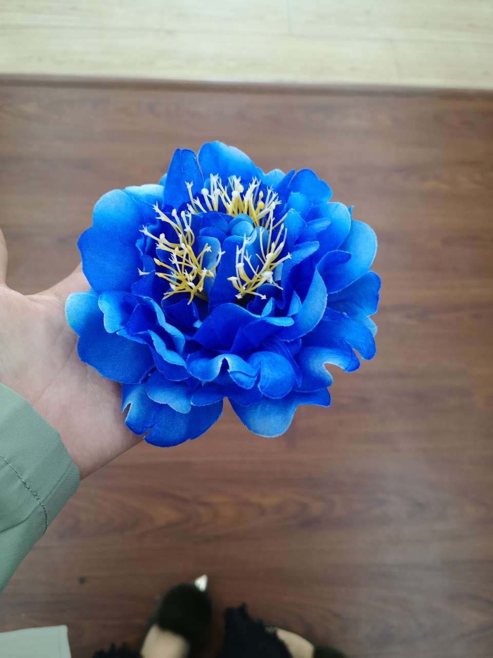 Peony flower heads thumbnail