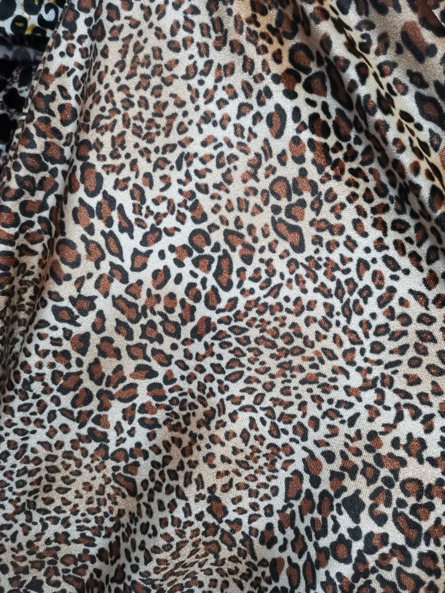 Leopard Print Specification drawing
