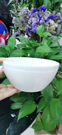 6 inch bowl