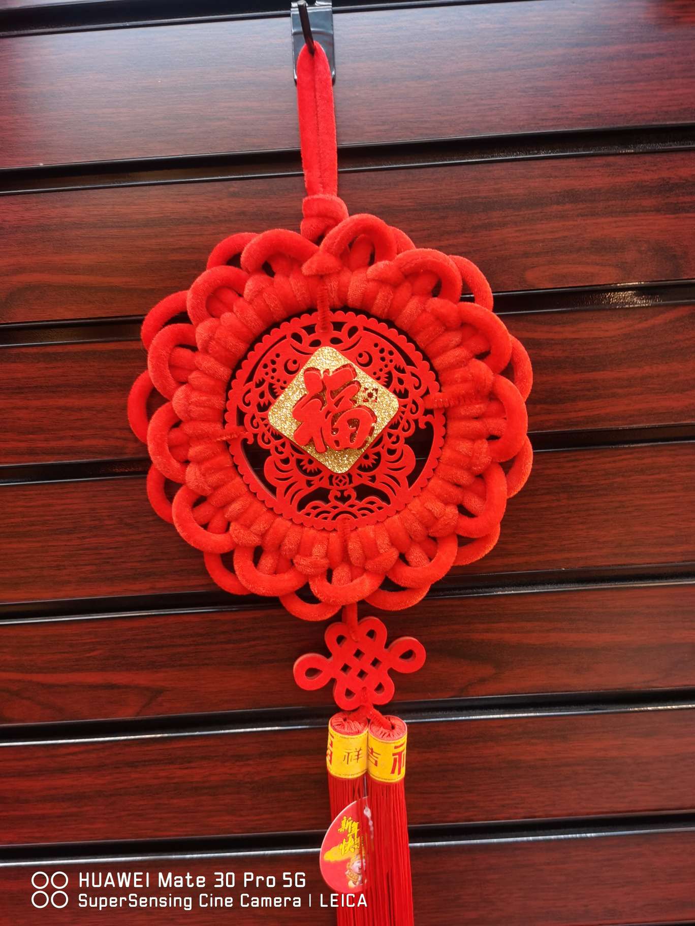 Extra-large circle/Pisces