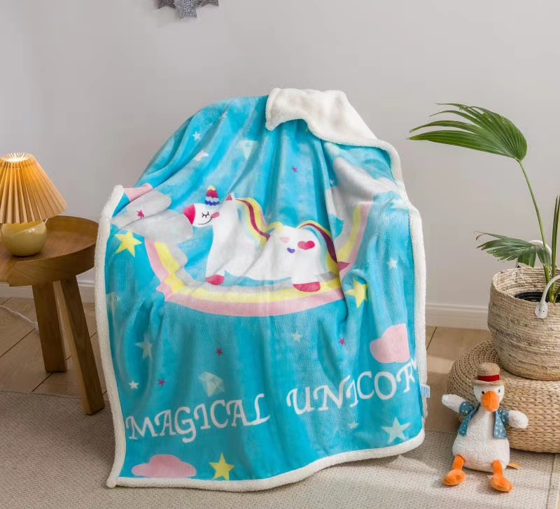 厂家直销毯子批发零售毯子毛毯单层loox140毯