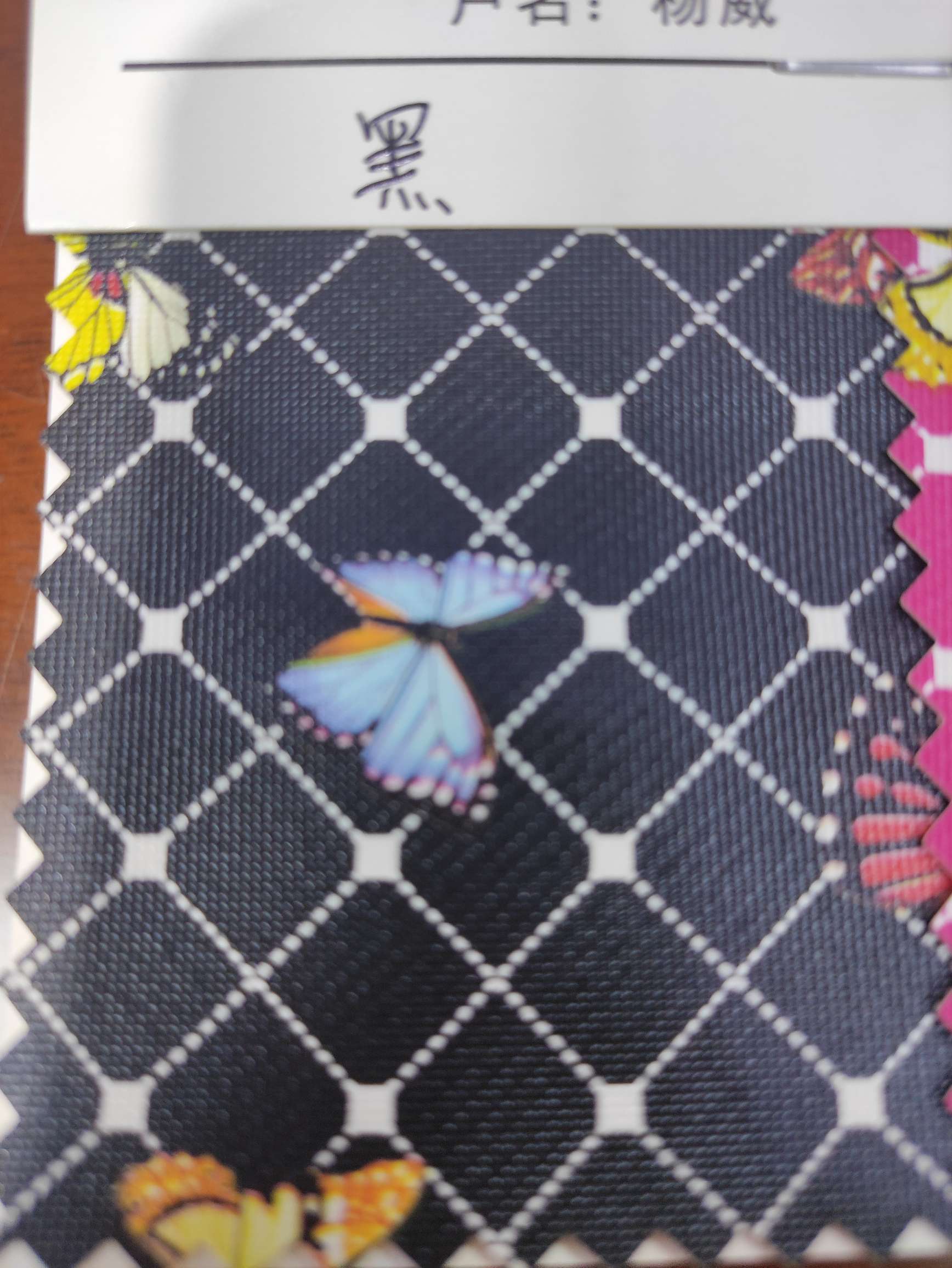 网纹蝴蝶黑