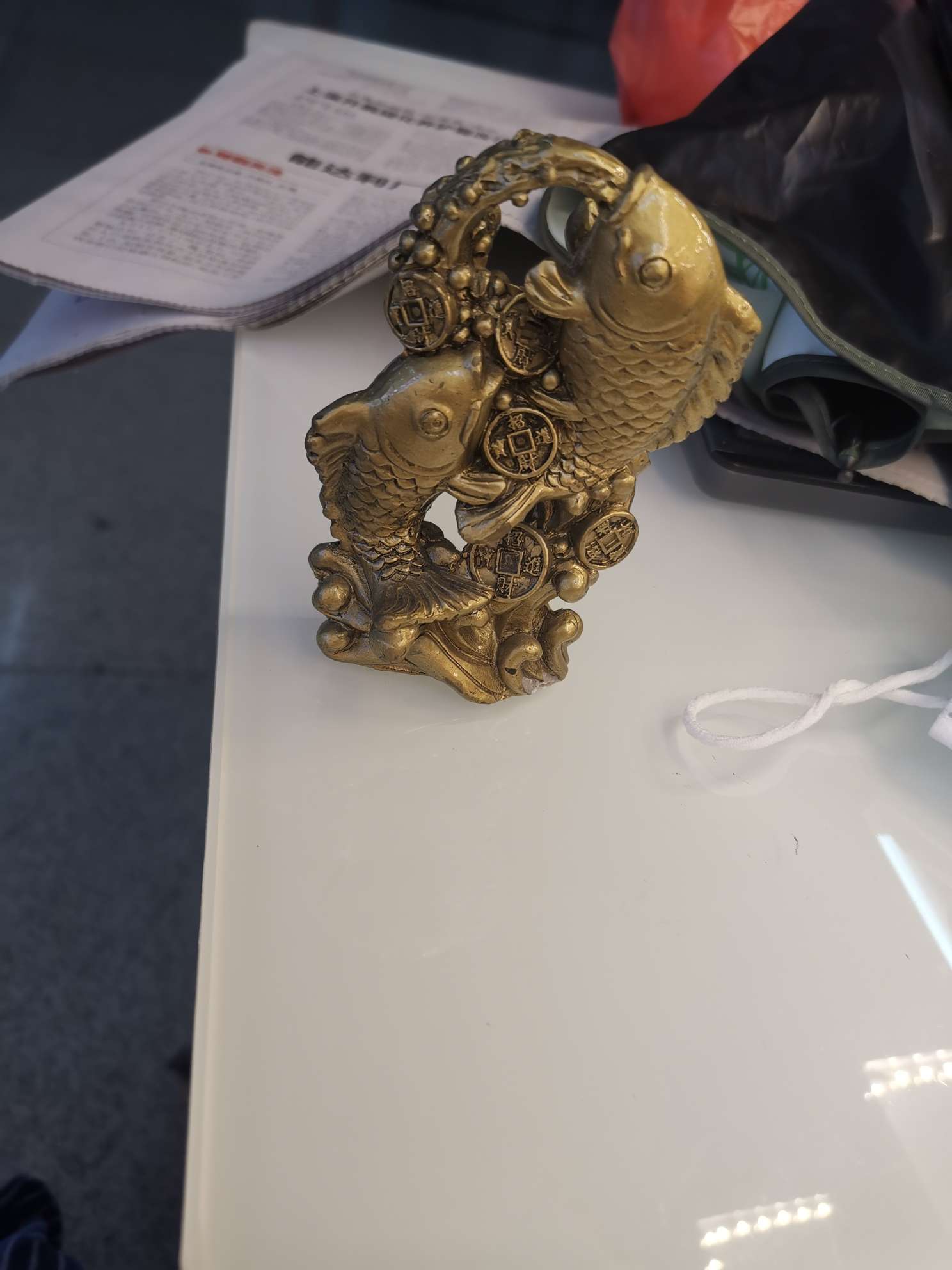 金钱鱼