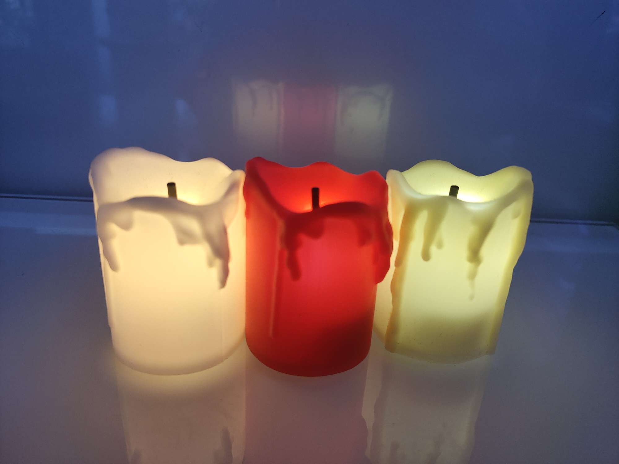 仿真昆虫实物图