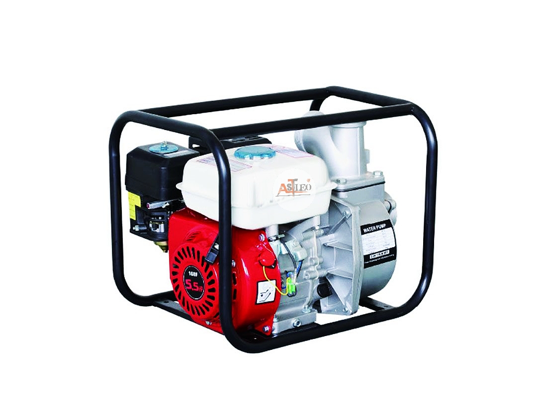 [2 inch /3 inch gasoline pump] Zhejiang Leo Power Co., LTD thumbnail