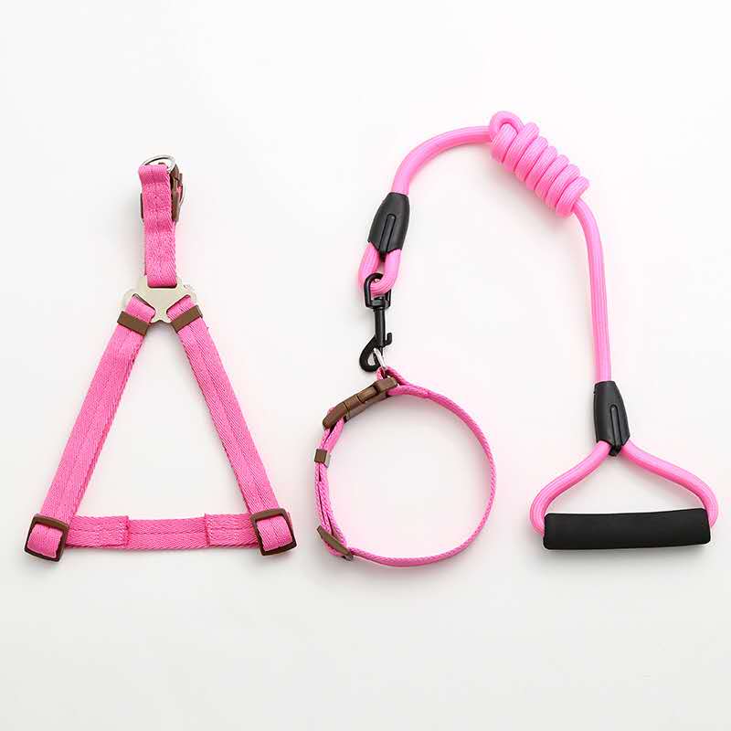 Factory direct sales of pet leashes in a simple style Application Scenario