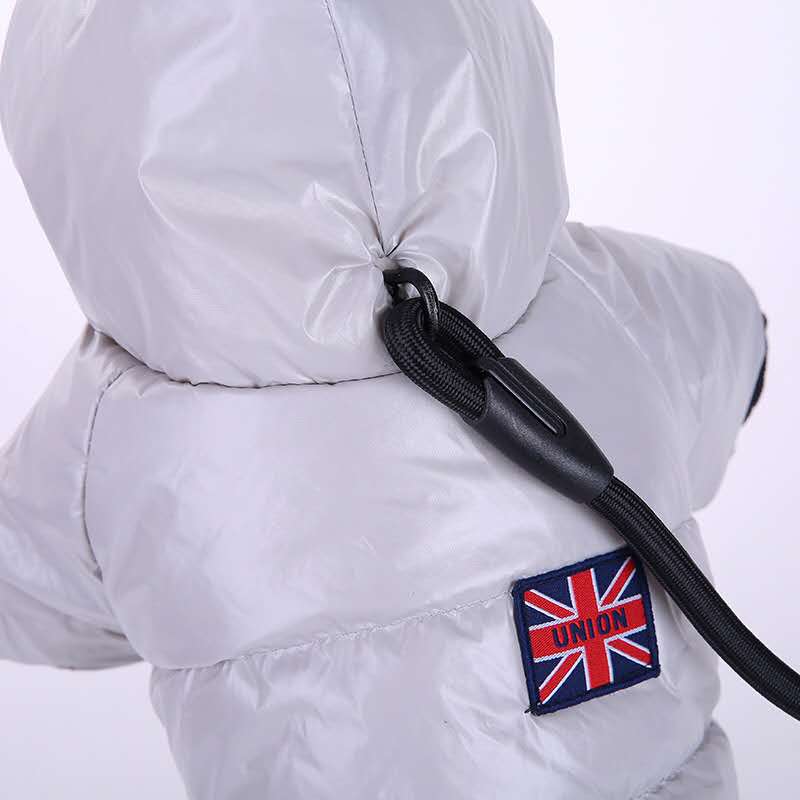 New cute and warm pet clothing and accessories Item Picture