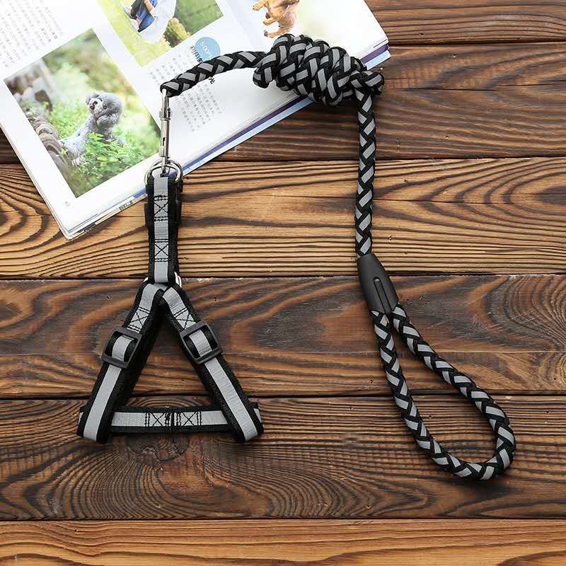 Factory direct sales and wholesale of pet leashes details Picture