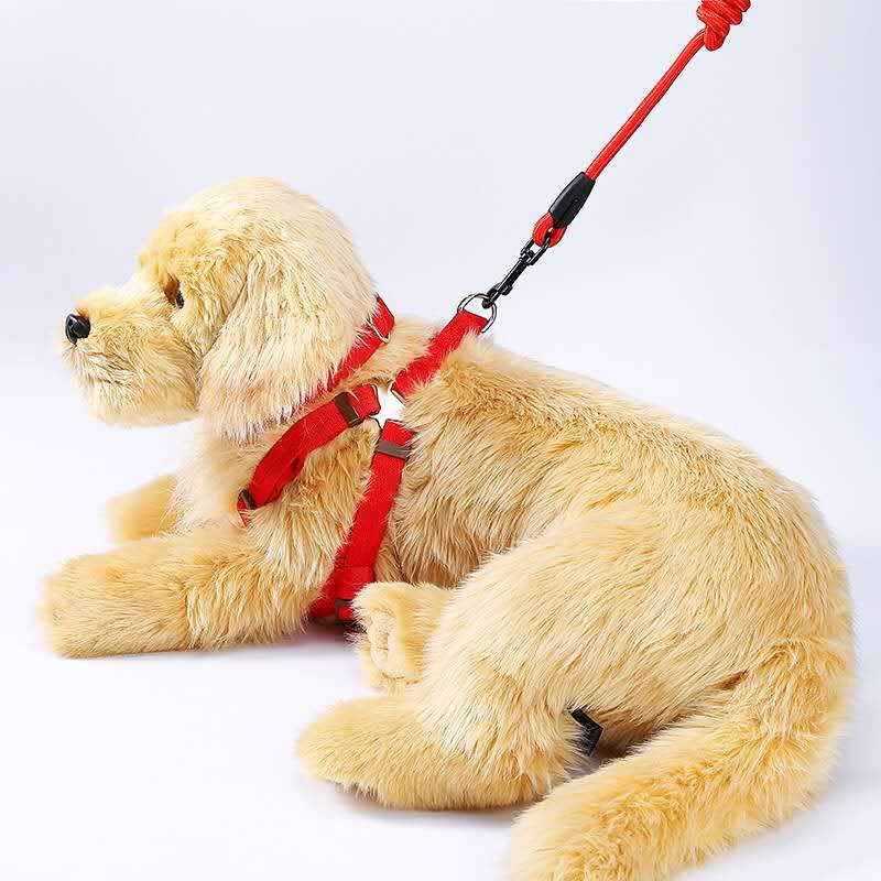 Factory direct sales of pet leashes in a simple style undefined