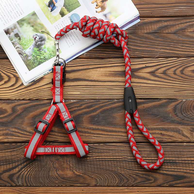 Factory direct sales and wholesale of pet leashes Application Scenario