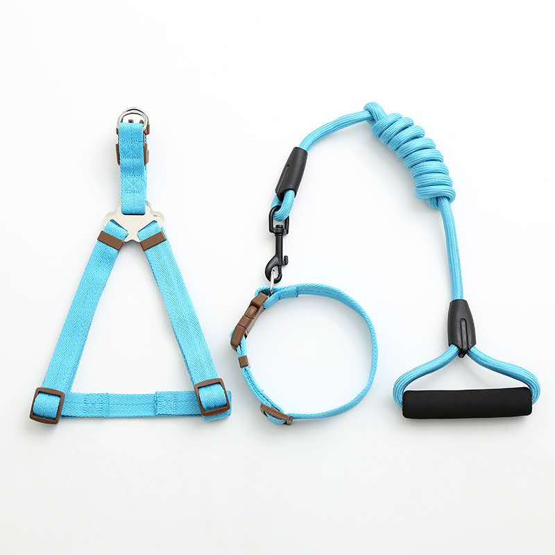 Factory direct sales of pet leashes in a simple style details Picture