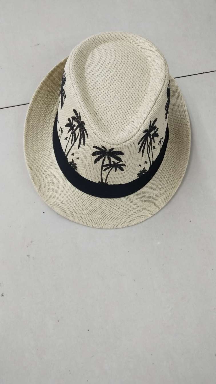 Encryption grass coconut tree top hat rice white thumbnail