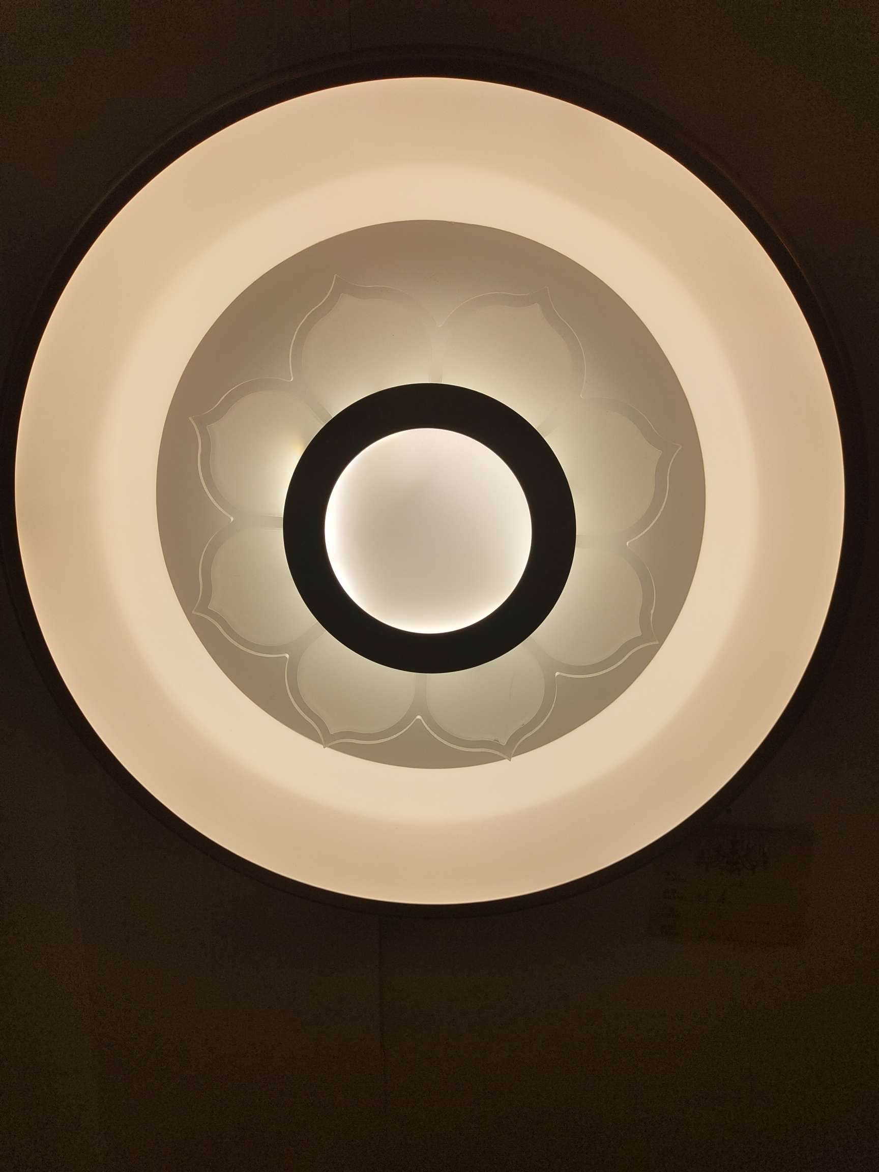 硅胶灯/小夜灯/创意灯/儿童投影灯/卡皮巴拉台灯产品图