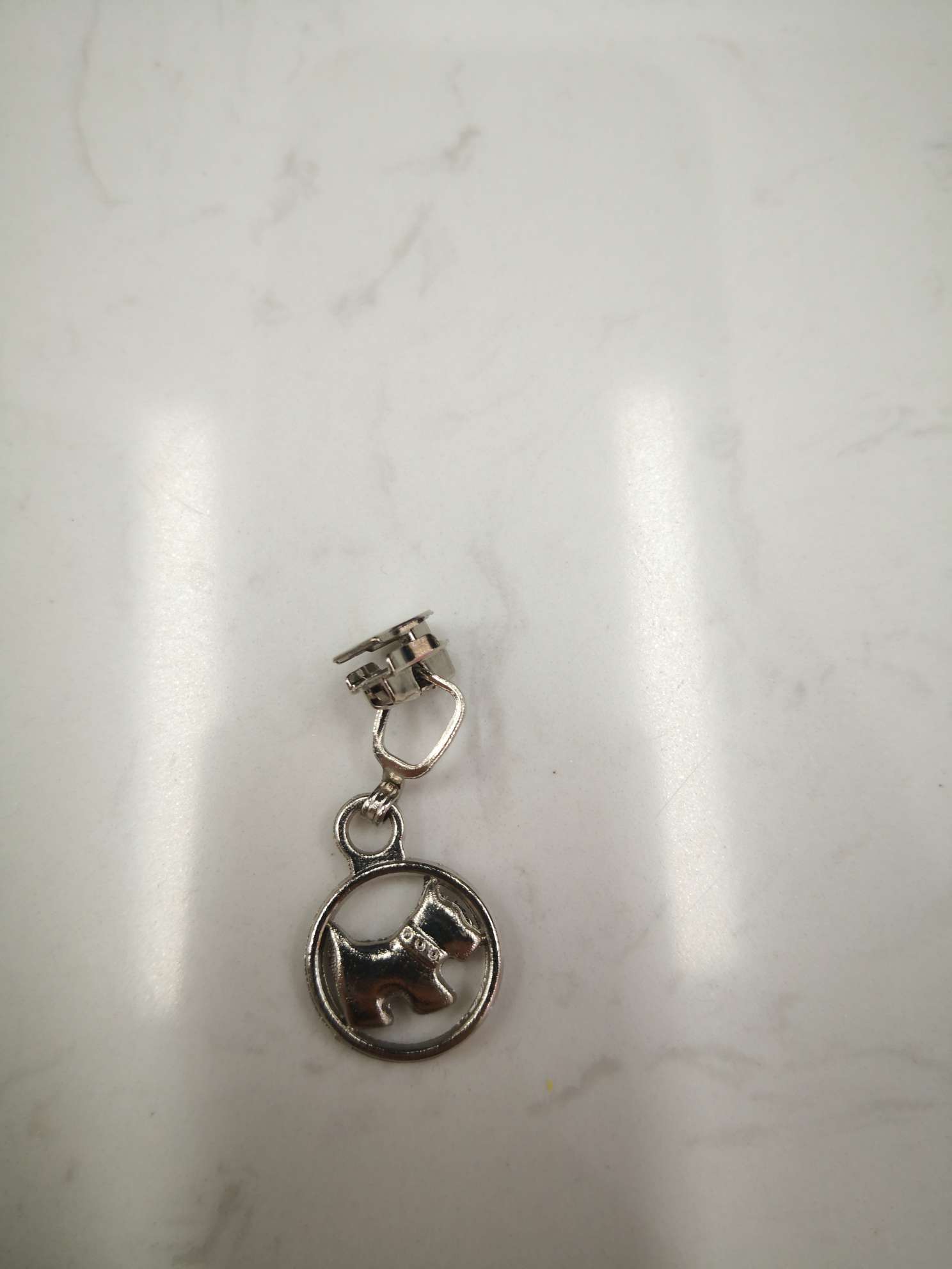 狗狗服装实物图