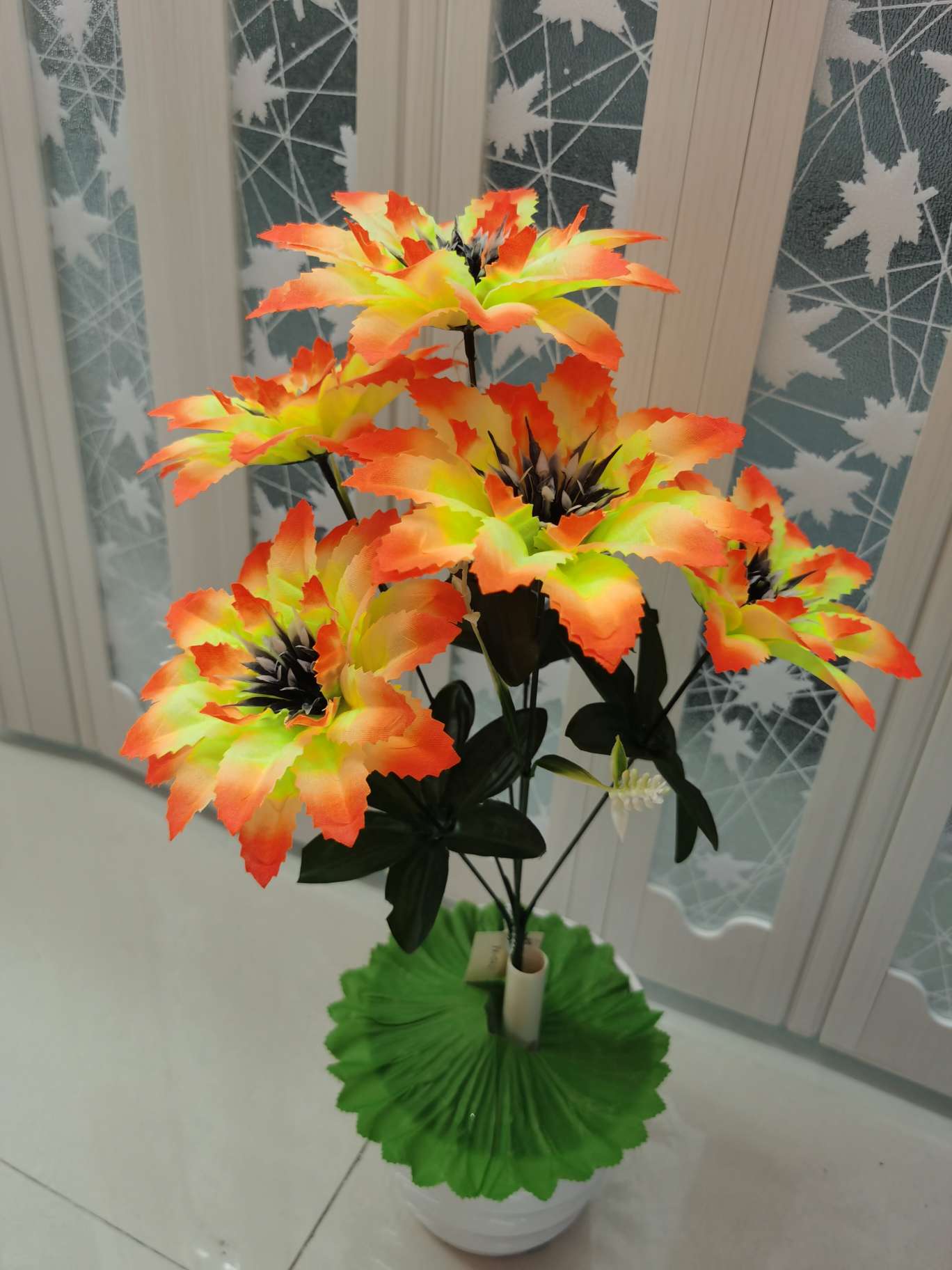 六头花纹坚菊