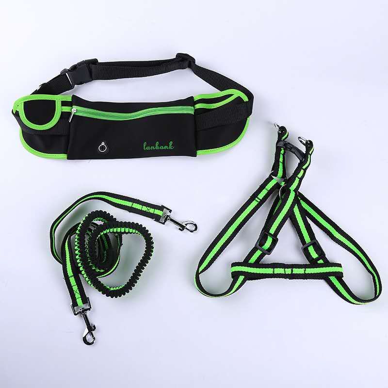 The new pet leash is available in multiple colors undefined