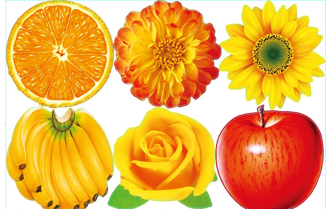 动物形状细节图