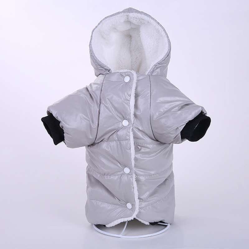 New cute and warm pet clothing and accessories Specification image