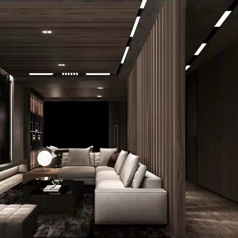 Borderless embedded creative magnetic track light, no main light, diffused light line spotlight, commercial lighting, hotel and villa undefined
