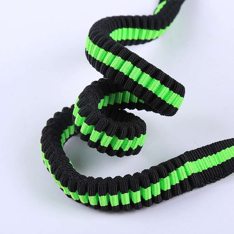 The new pet leash is available in multiple colors undefined
