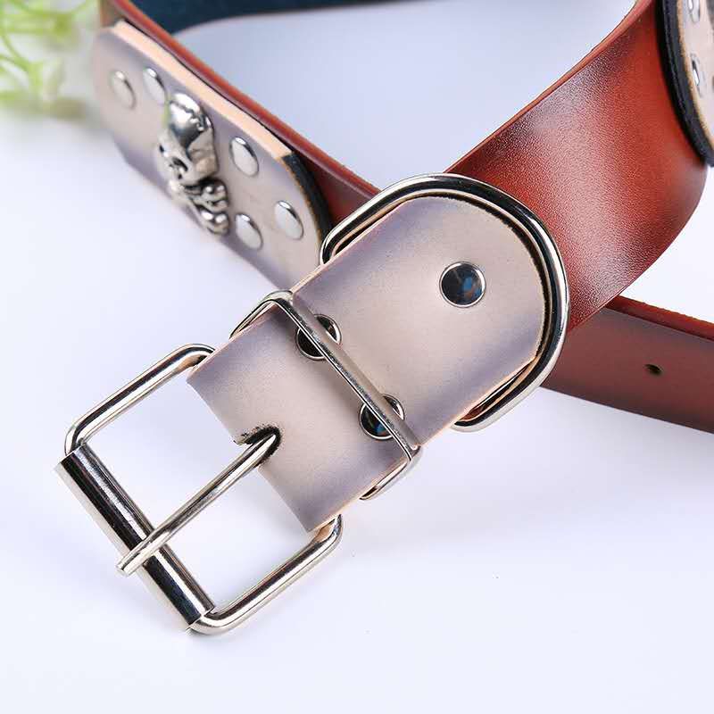 2020 New collar pet travel Specification image