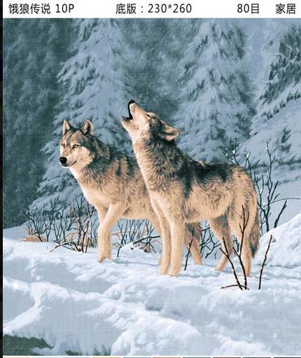 其他毛毯、绒毯实物图