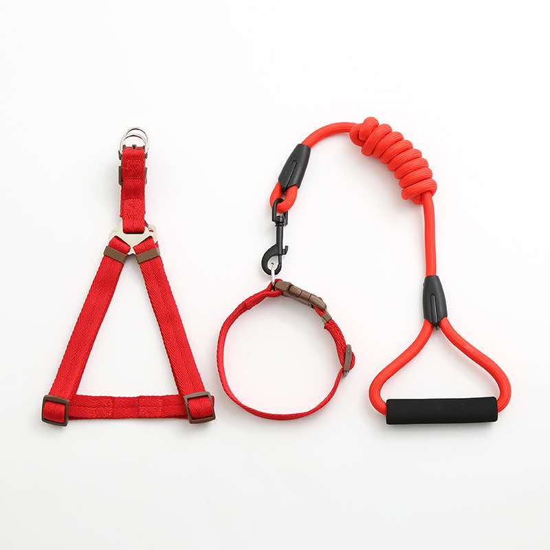 Factory direct sales of pet leashes in a simple style Specification image
