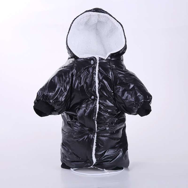 New cute and warm pet clothing and accessories Application Scenario