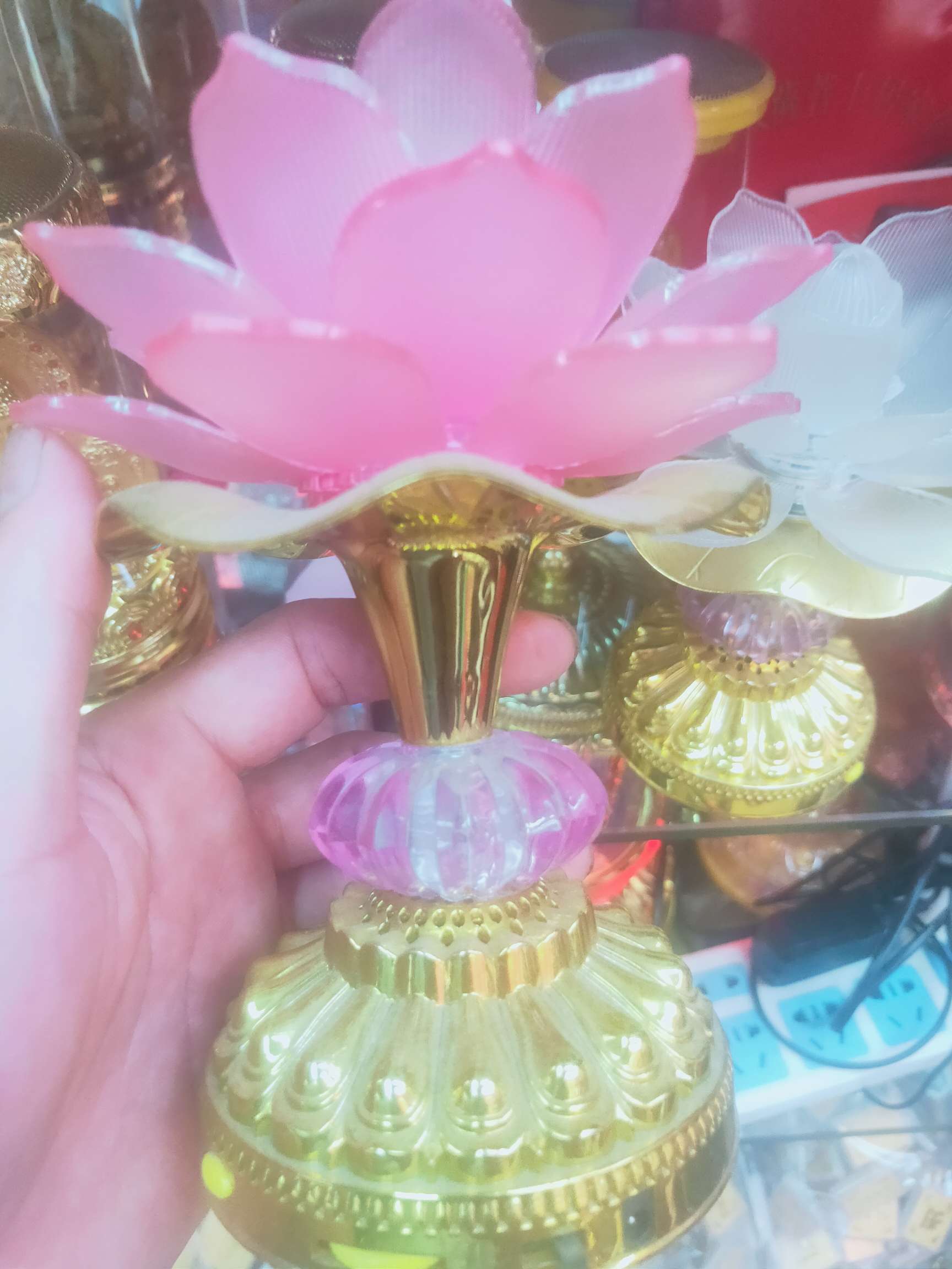 Lotus lamp