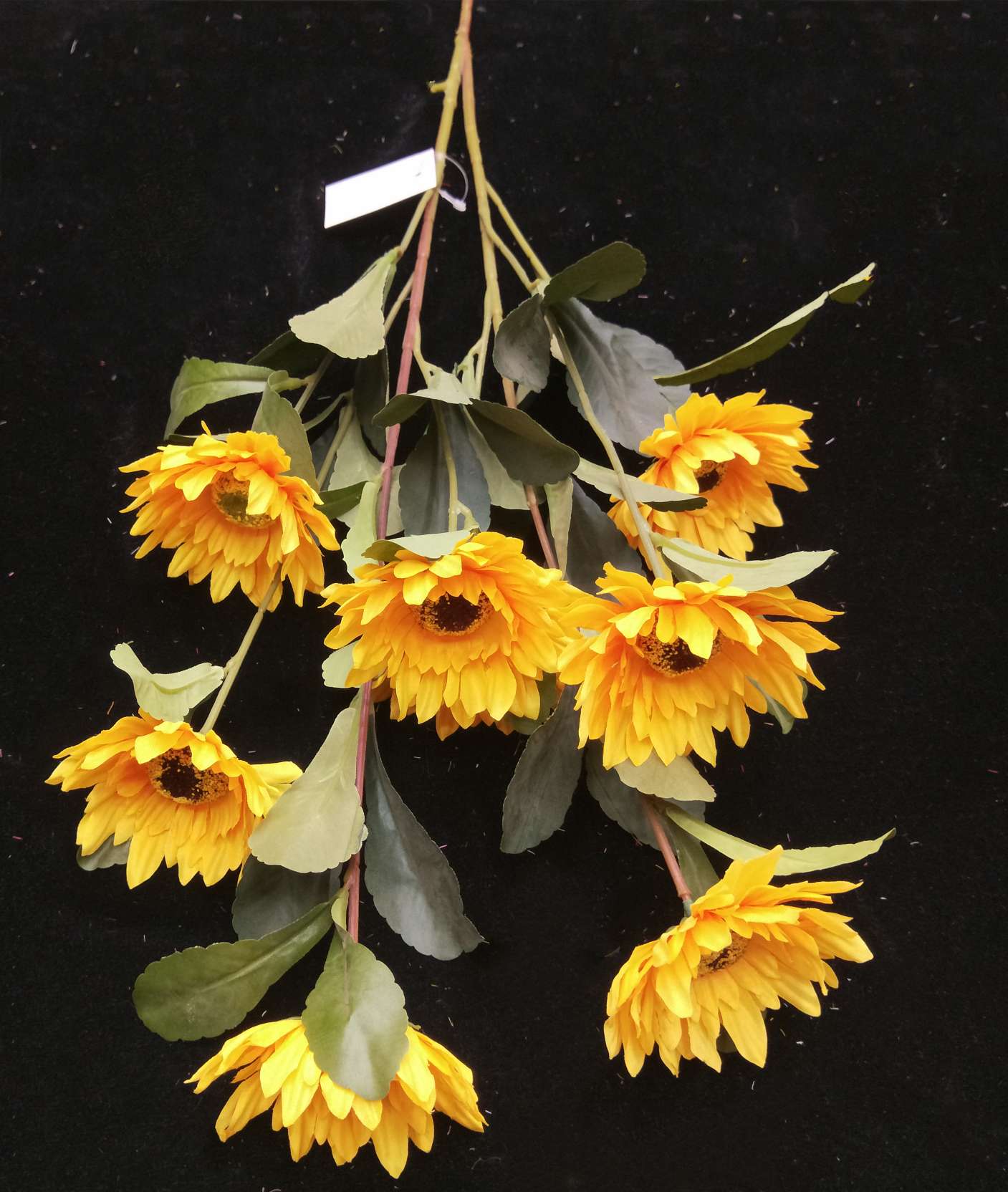 Sunflower simulates sunflower thumbnail