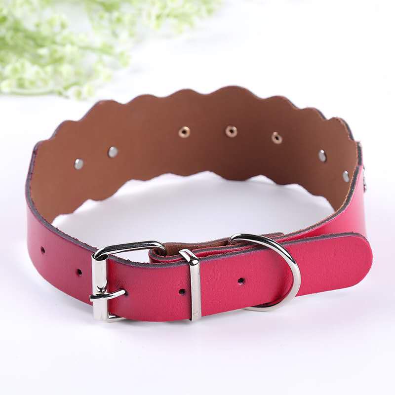 Pet collar manufacturer's direct sales in pink Specification image