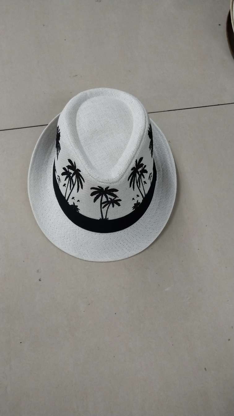 加密草椰树礼帽白色