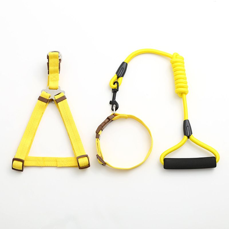 Factory direct sales of pet leashes in a simple style Item Picture