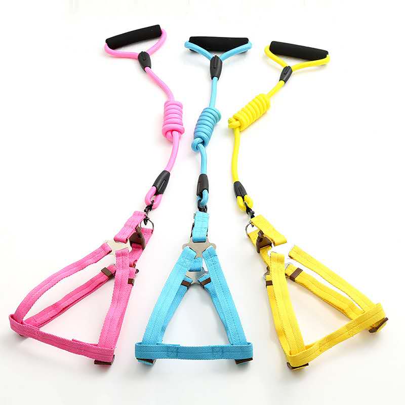 Factory direct sales of pet leashes in a simple style