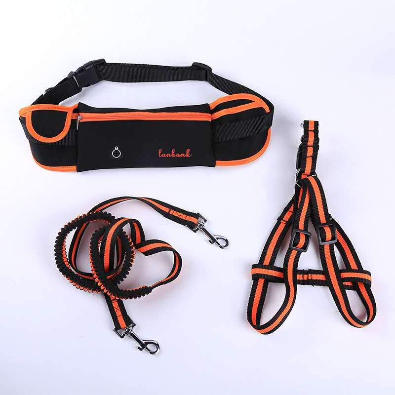 The new pet leash is available in multiple colors undefined