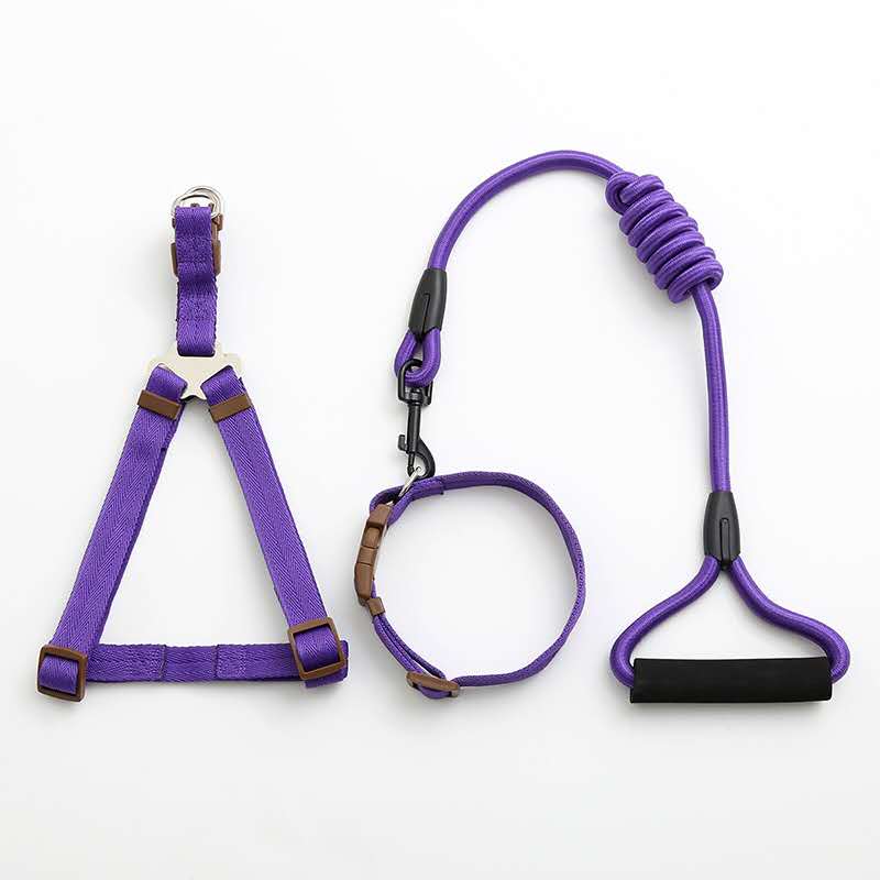 Factory direct sales of pet leashes in a simple style undefined