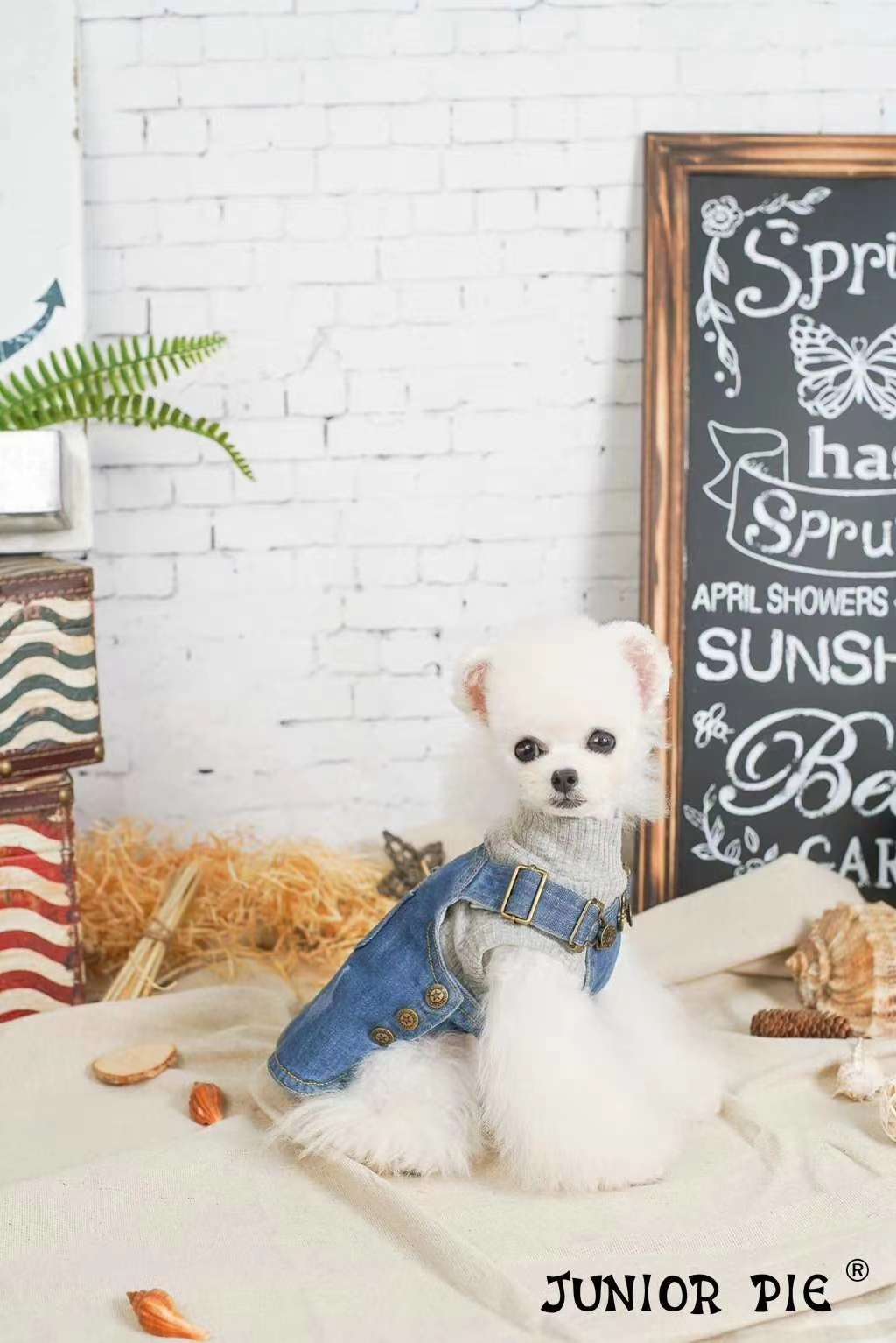 【JUNIOR PIE】2020新款首发🎊  🎊 🎊 
   牛仔背带裙
经典的牛仔系列，全棉牛仔面料，水洗磨毛工详情图6