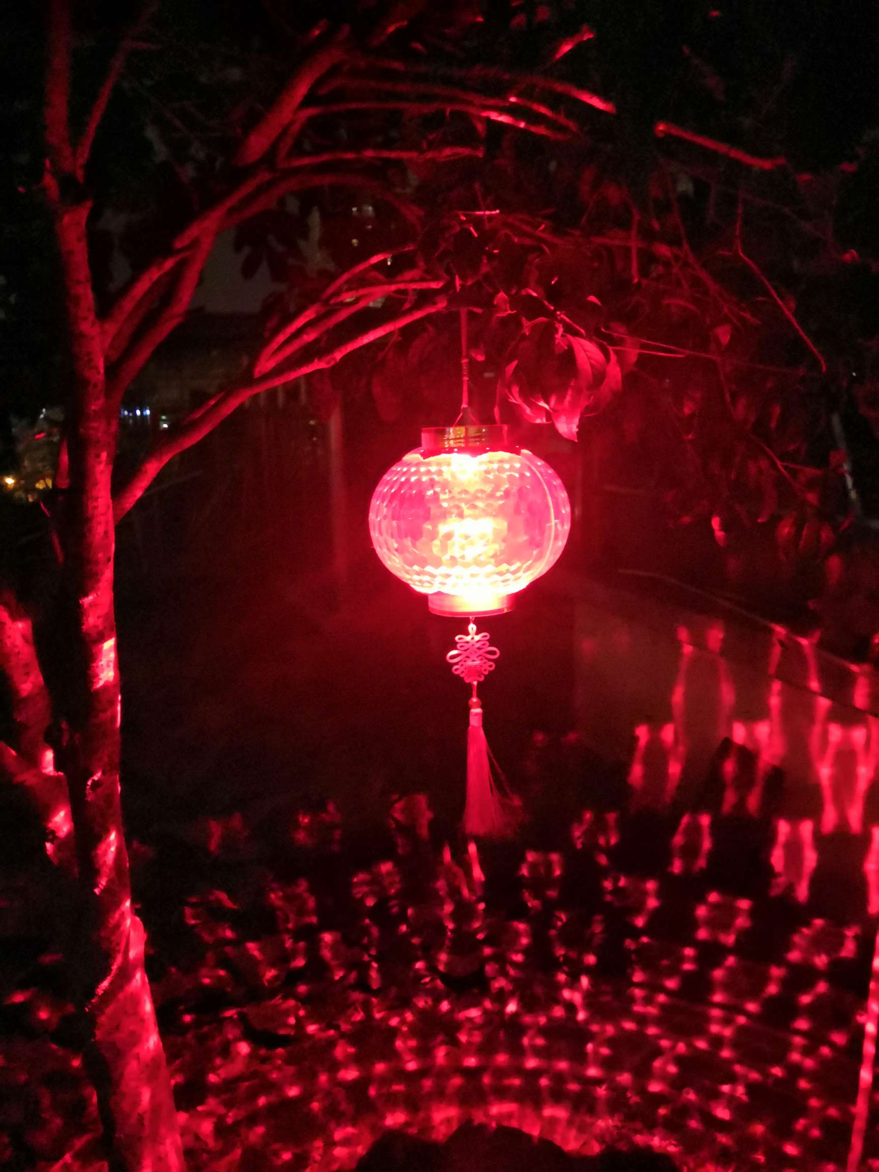 提灯、手提式电筒实物图