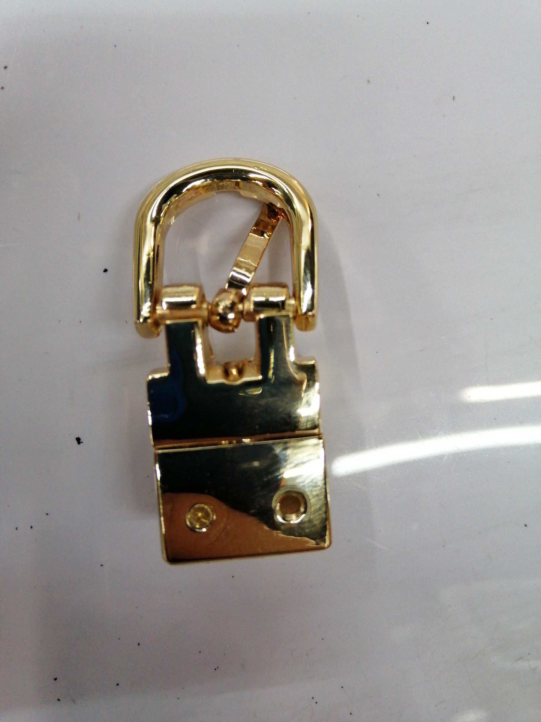 Belt And Buckle Buckle details Picture